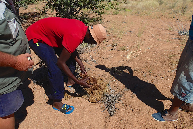 Namibia